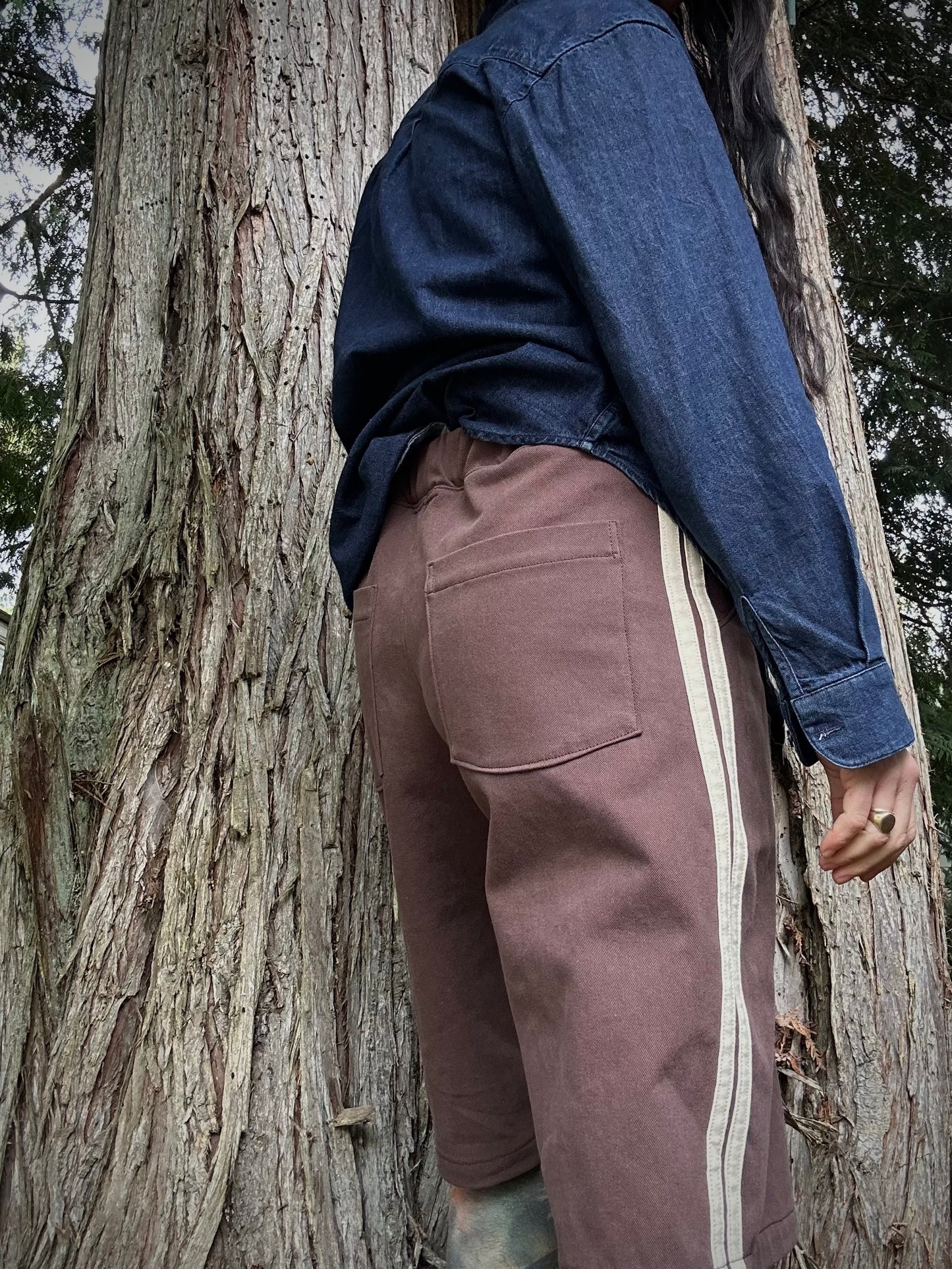 Bermuda Trackies