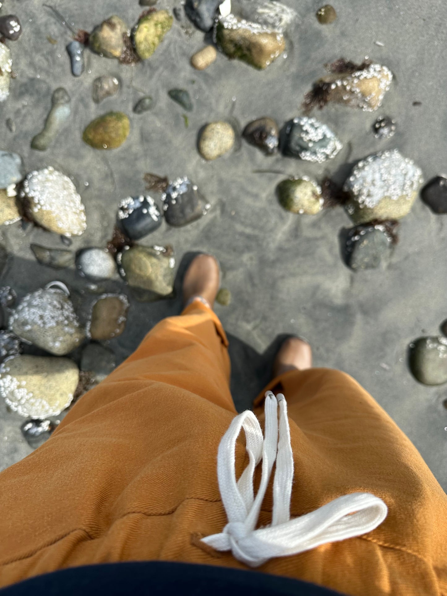 * September Trouser - Tumeric